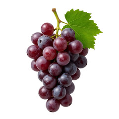 Naklejka premium bunch of red grapes