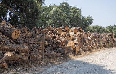 Large pile of firewood drying behind wire fence in rural setting