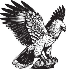 Harpy Eagle Vector in black and White