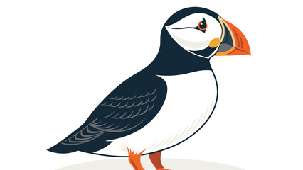 Colorful Cartoon Illustration of a Puffin Bird.