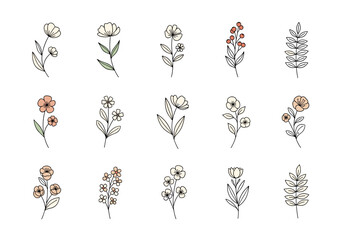 Delicate hand drawn botanical illustrations of various wildflowers and foliage designs