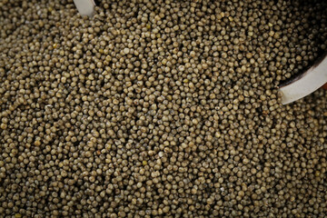 Organic Millet Grains Bulk Display - Healthy Whole Grain Cereal Seeds for Natural Nutrition