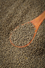 Organic Black Millet Grains in Wooden Spoon - Healthy Superfood Ingredient