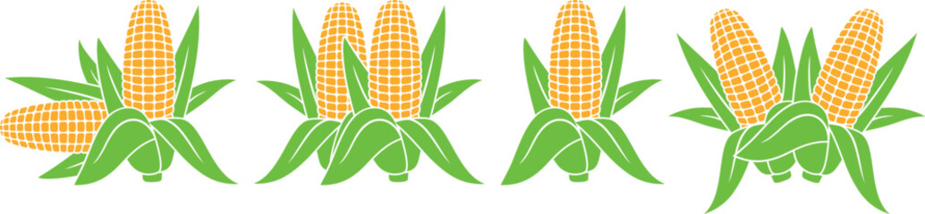 Corn logo. Isolated corn on white background