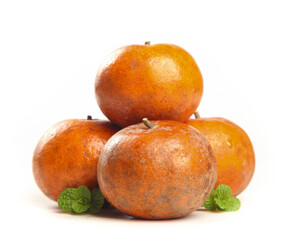 Fresh Ripe Oranges with Mint Leaves on White Background
