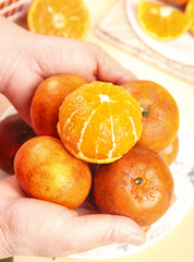 Fresh Organic Tangerines in Hands - Peeled Citrus Fruit Showing Juicy Segments