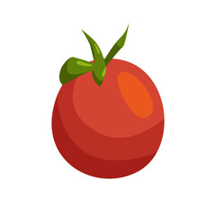 Fall harvest. Tomato isolated on white. Seasonal food. Vector flat illustration.