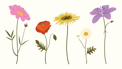 Obraz premium Flower elements vector set. Collection colorful floral of wildflower, leaf branch, foliage on beige background. Hand drawn blossom illustration for decor, easter, thanksgiving, clipart.