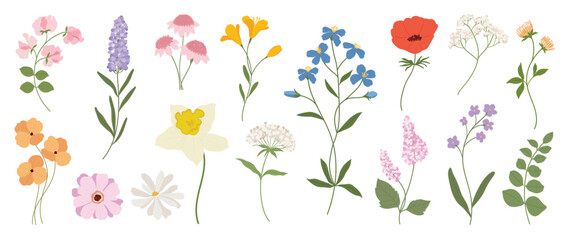 Fototapeta na wymiar Cute flower elements vector set. Collection colorful floral of wildflower, leaf branch, foliage on white background. Hand drawn blossom illustration for decor, easter, thanksgiving, clipart.