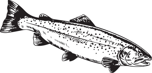 Vintage Fish engraving outline vector art illustration design, Fish silhouette, hand drawn, line art fish design