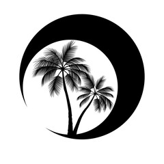 palm tree silhouette