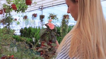 Woman holding potted plant with flowers in greenhouse store for home gardening - Powered by Adobe