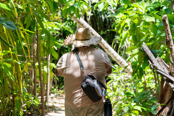 Traveler hiking through verdant rainforest in Cahuita National Park, surrounded by dense tropical...