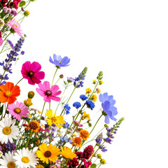 Colorful bouquet with vibrant floral patterns on a white background