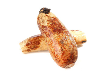Fresh Lotus Root Vegetable Isolated on White Background for Cooking and Food Photography