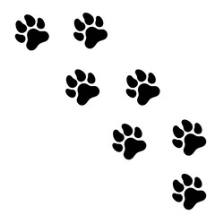 Fototapeta premium Black paw print pattern PNG, transparent background, pet footprints icons, dog cat animal silhouette marks, clipart design, stickers, decals, branding, packaging, craft