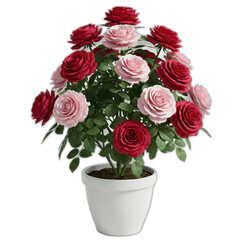 A vibrant bouquet of red and pink roses in a white pot, showcasing detailed blooms and lush foliage.
