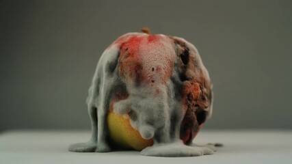 Timelapse of fresh fruit slowly decaying and growing mold, from ripe to rotten, photorealistic, close-up, neutral background, cinematic science footage