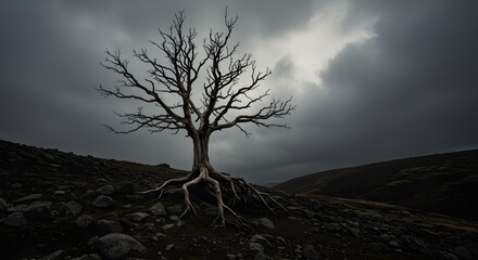 Stark, ancient tree with exposed roots stands defiantly on rocky terrain under dramatic, stormy skies.