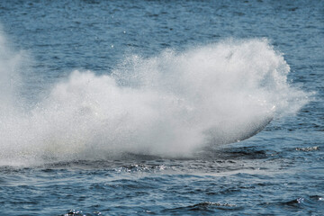 Splashes of water sparkle in the sunlight