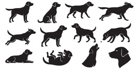 Obraz premium Labrador Retriever Dog Silhouette Vector – Standing, Sitting, Running, Walking,Jumping,Lying Down, Howling, Head Only and more poses