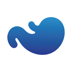 Realistic stomach visualization isolated on white background