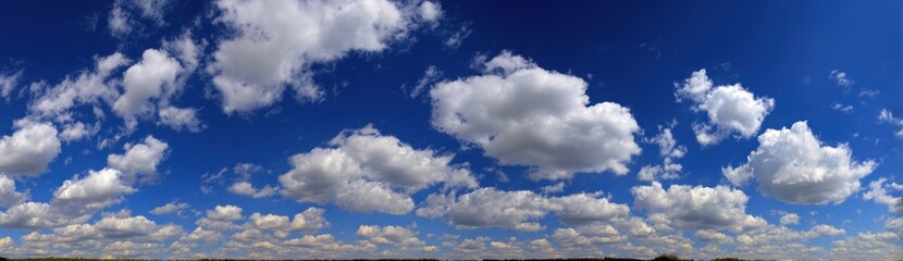 Obraz premium Sweeping panorama view of a vibrant blue sky filled with fluffy, white cumulus clouds on a bright, sunny day with a natural blurring effect