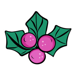 Illustration of the “Christmas Star”