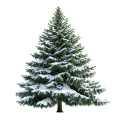 Fototapeta premium Christmas Tree Isolated Clipart PNG