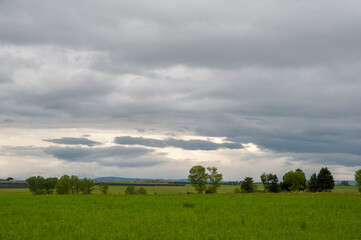 Fototapeta premium Alta Murgia, panorama del parco con prato , cielo azzurro, nuvole, casolari. Orizzonte delle verdi colline in Puglia, natura Italia.