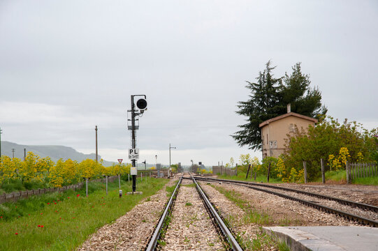 I binari ferroviari si estendono all'orizzonte attraverso un paesaggio rurale. Una vegetazione lussureggiante e piante dai fiori gialli costeggiano i lati dei binari, delimitati da staccionate.