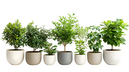 Thriving Potted Plants Showcasing Sustainable Growth and Ecological Harmony Various isolated on a transparent background