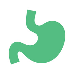 Semi-transparent stomach showing food digestion process