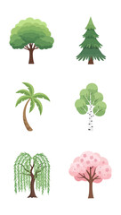 Fototapeta premium Diverse trees illustration collection