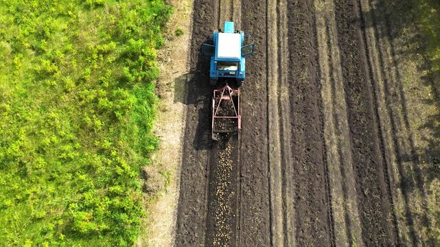 Aerial view of a tractor harvesting potatoes from a field