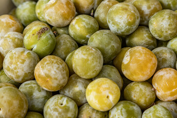 A full frame photograph of an abundance of ripe greengages on a market stall in late summer