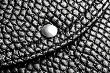 Close-up of black textured leather with a metal button