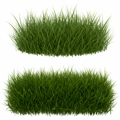 Realistic Grass Vector