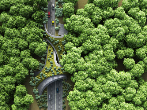 Wildlife crossing bridge over road in lush green forest 3d rendering