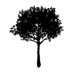 木のシルエットのイラスト素材