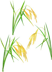稲穂のイラスト素材 ベクター