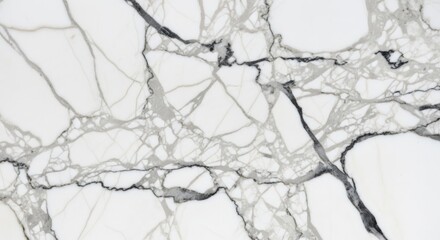Obraz premium Close-up of white marble with gray and black veining.