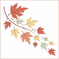 Watercolor autumn leaves