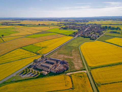 Aerial view photo, taken by a drone, of the paddy fields ready to be harvested in Lomellina, northern Italy. Lomellina is a countryside area between Piedmont and Lombardy Regions (Northern Italy).