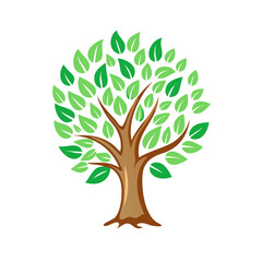 Fototapeta premium tree with green leaves