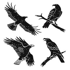 Four black eagles in flight and perched on branches bird silhouette