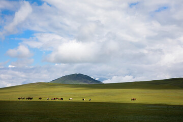 Obraz premium A breathtaking view of the vast Mongolian steppe after rain, with dramatic clouds covering the sky and a dirt road leading toward the horizon. The scene captures the mystery and beauty of Mongolia’s u