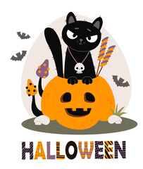 Halloween Black Cat in Pumpkin lantern Jack with Candy treat, Mushrooms and Bats. Autumn holiday Cute Funny Pet character Postcard. Vector illustration. Not AI