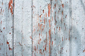 Old Shabby Wooden Planks with cracked gray Paint. wooden, retro, vintage background. old cracked paint on wooden boards. close-up, macro photo. cracks, rough, old paint peeling off