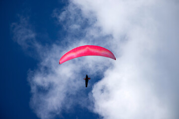 A man with a paraglider in front of a blue sky.